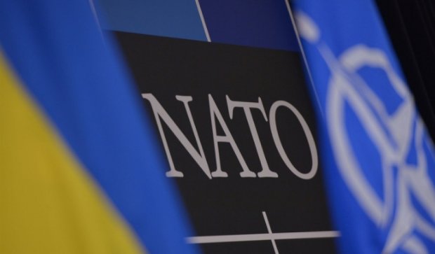 НАТО продолжит сотрудничество с Украиной в оборонной сфере