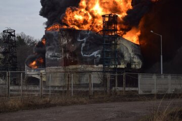 Пожар в Ровенской области, фото: глава ОГА