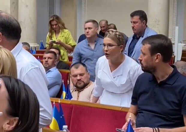Юлия Тимошенко на принятии законопроекта 7457, скриншот: TikTok