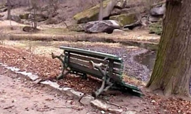 В Умані влаштували погром в парку Софіївка (відео)