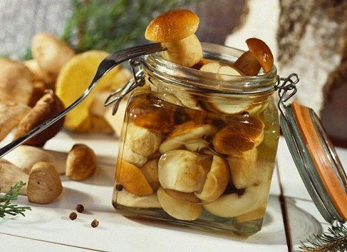 Сезон грибів: кращі рецепти для консервації груздів і рижиків
