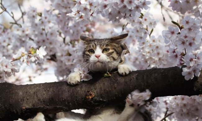 Гідрометцентр попередив про заморозки