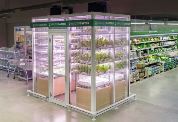 В немецком супермаркете появился мини-огород 