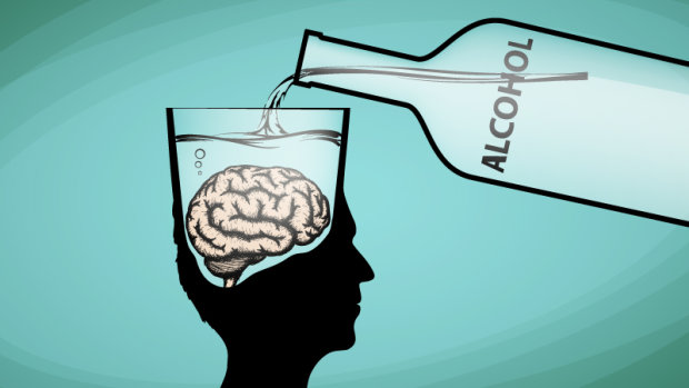 Ученые наглядно показали, что происходит с мозгом, если много пить: даже спустя полтора месяца трезвенности