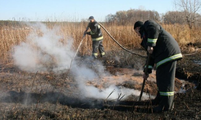 Біля Києва торфовища горять у 16 місцях