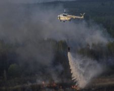 Спасатели локализовали пожар в радиоактивном лесу