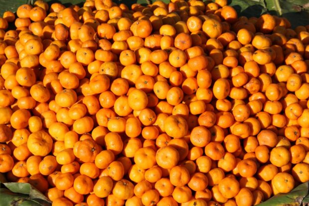 Апельсины, фото pxhere