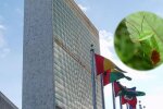 На штаб-квартиру ООН напали клопи