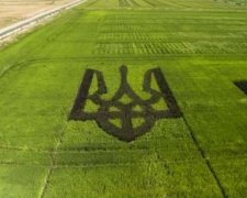 Герб рекордних розмірів видно з космосу