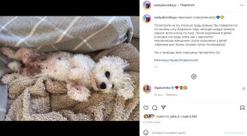 Скріншот з Instagram, Настя Коротка