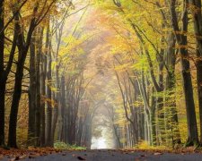 Прощай, тепло: что украинцам приготовила погода