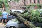 В Днепре ураган "припарковал" дерево на машины, были колеса - нет колес
