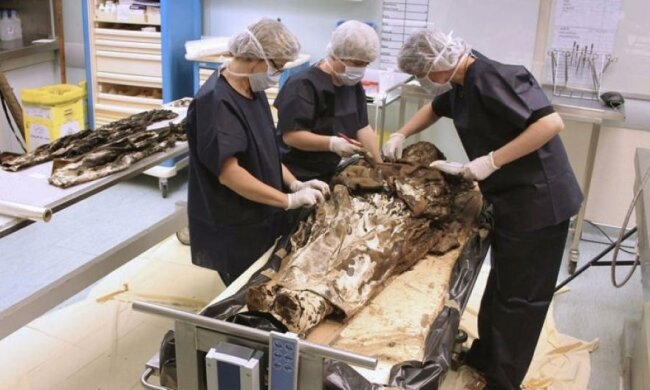 Француженка забрала з собою в могилу п'ять сердець