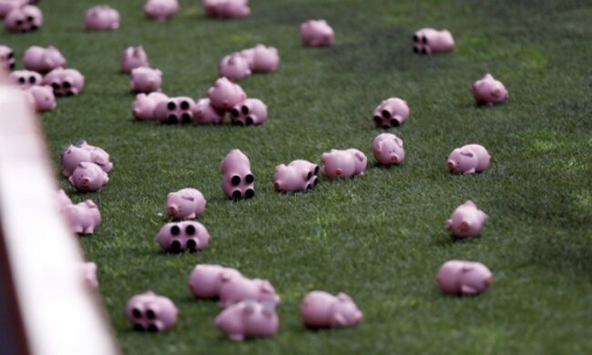 Гумові свині ледь не зірвали матч чемпіонату Англії