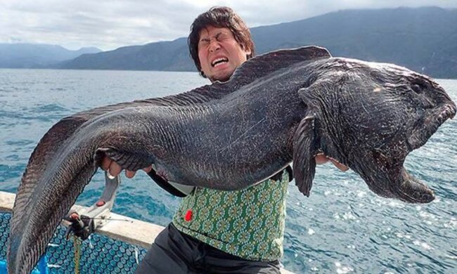 Як живе зубатка з океанського дна: небезпечна риба з людським обличчям