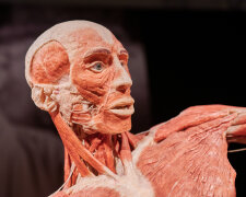 Виставка Body Worlds. Фото: Андрій Максимов