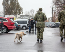 Під Одесою підліток загримів за грати через першоквітневий жарт: скільки років йому буде невесело