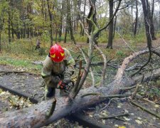 Вінницькі лісники похвалилися машиною за мільйон, скандал на всю область: Зеленському доведеться нагрянути після Харкова