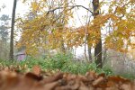Прогноз погоди на жовтень, скріншот: YouTube