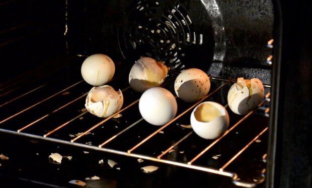 Яйця запечені в шкаралупі, фото Знай.uа