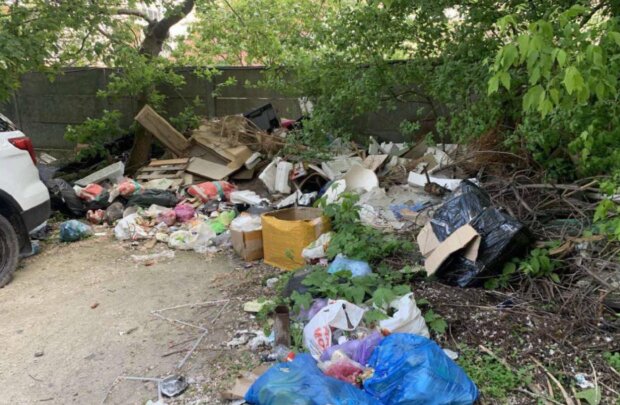 Держекоінспекція виявила незаконне сміттєзвалище просто серед Києва
