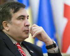 Возвращение Михо: источники назвали дату