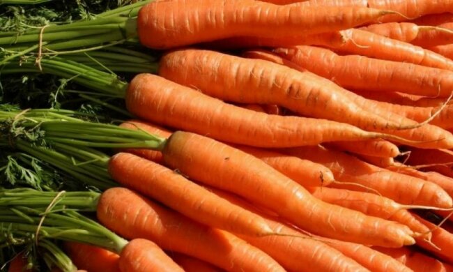 Українська морква коштує дорожче єгипетських апельсинів