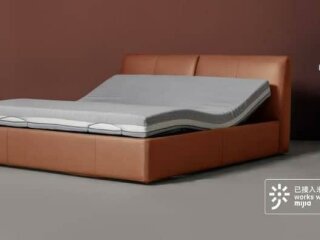 XIAOMI YOUPIN MULTIFUNCTIONAL SMART ELECTRIC BED, gizchina