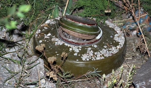 В мариупольском парке нашли мины (фото)