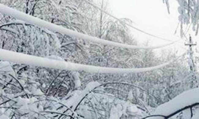 Тридцять населених пунктів знеструмлені негодою