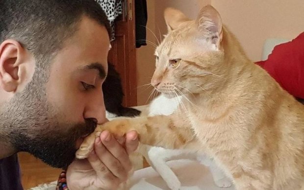 Слепой кот-меломан довел пользователей сети до слез