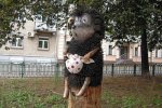 Культового «Їжачка в тумані» приберуть з центру Києва