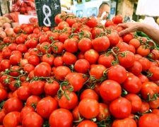 Росіяни недостатньо голодні для турецьких помідорів