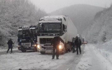 Не только потоп: украинский регион атакуют сразу две стихии
