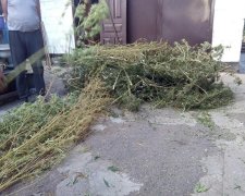 Дніпровські копи спіймали наркобарона