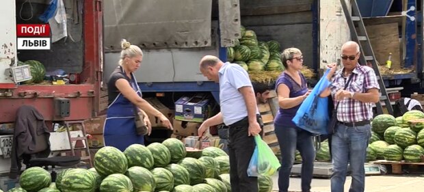 Во Львове стартует продажа бахчевых, фото: События. Львов