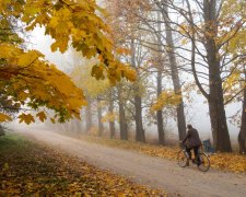 Прогноз погоды на неделю: лютые морозы и летнее тепло разделят украинцев