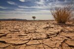 Кількість прісної води у світі зменшилася на 60% за останні 40 років - ООН
