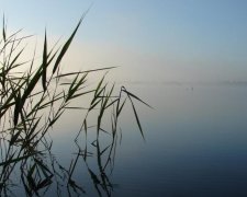 Оспіване Лесею Українкою озеро пересохло