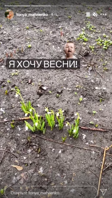 Скриншот stories
