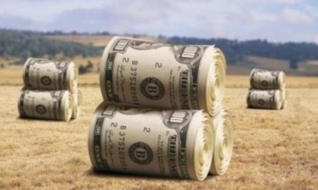 Сільське господарство України знищують банки