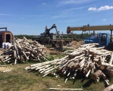 Вугільна лихоманка загрожує Україні екологічною катастрофою
