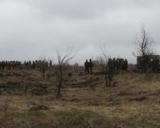 Вибух "міномета Пашинського": Матіос озвучив зручну версію