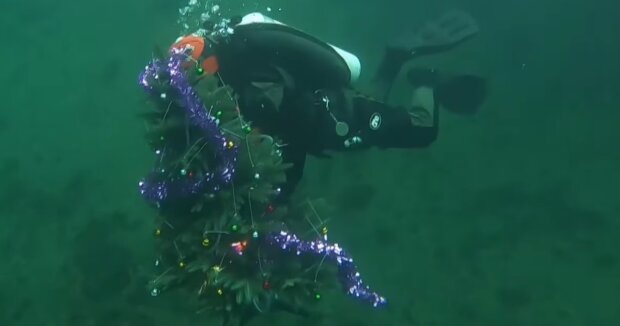 Днепр встретит Новый год под водой: яркие кадры