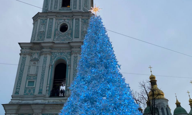Главная елка страны-2025, Софиевская площадь, фото: Знай.ua