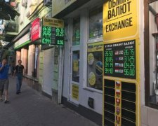 Курс валют на 1 августа: гривна снова пробила дно
