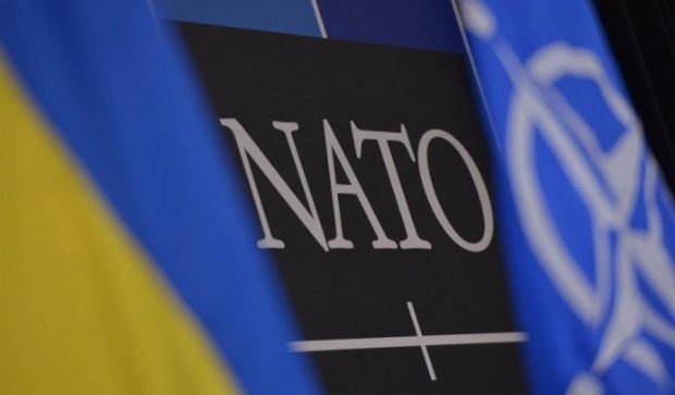 Навчання України й НАТО стримали б Росію від окупації Криму - Парубій  
