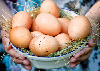 Яйца, фото: Ezoterika.me