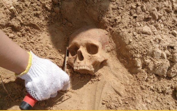 Археологи відкопали череп найдавнішого європейця