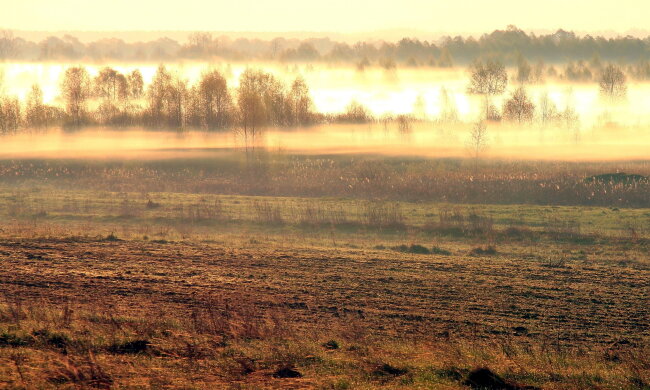 Погода на 23 октября: синоптики предупредили о высоком уровне пожарной опасности